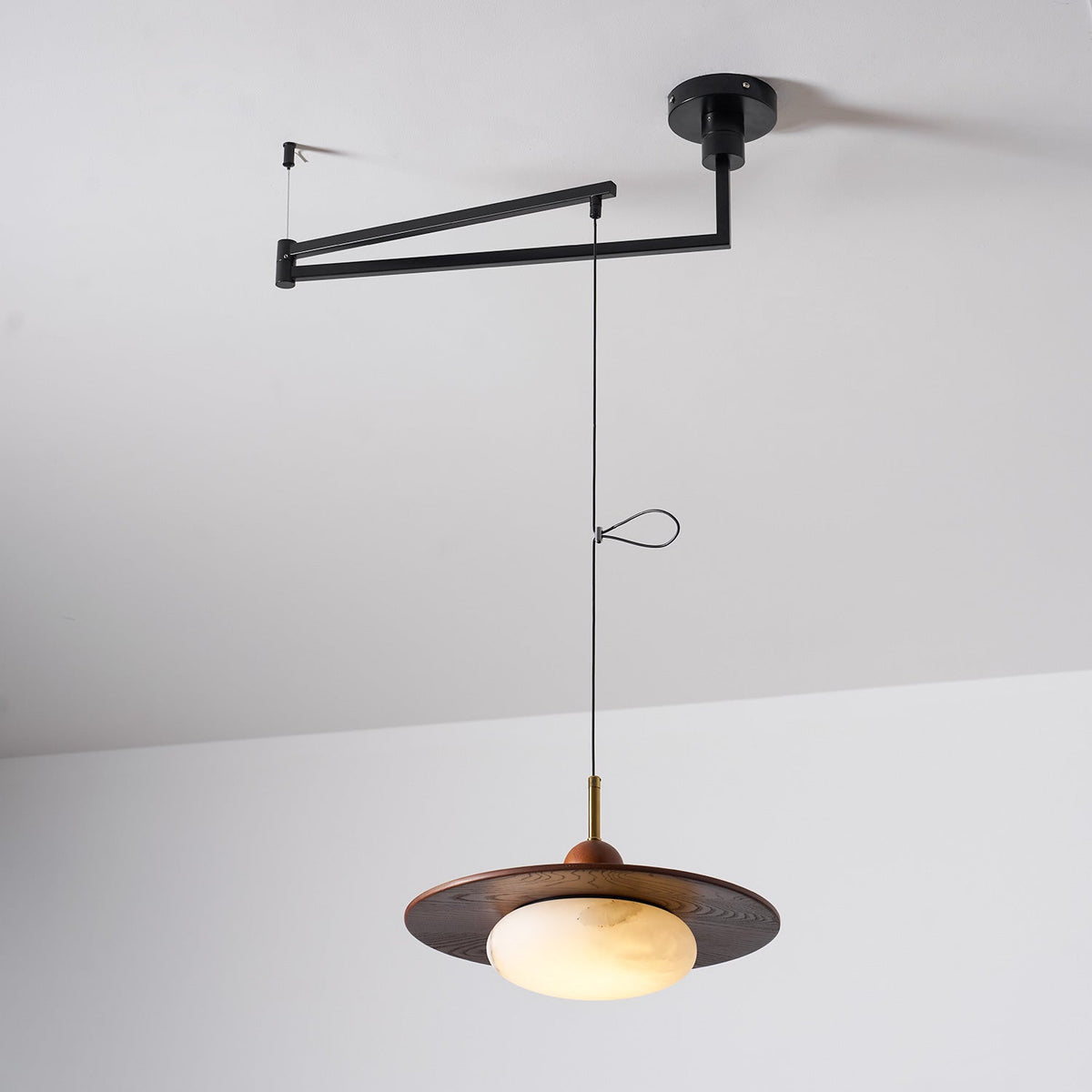 Hebor Adjustable Pendant Light