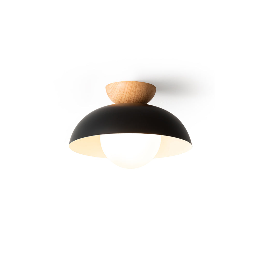 Ararala Modern Ceiling Light