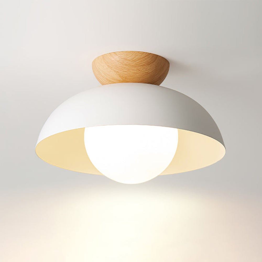 Trenton Ceiling Light