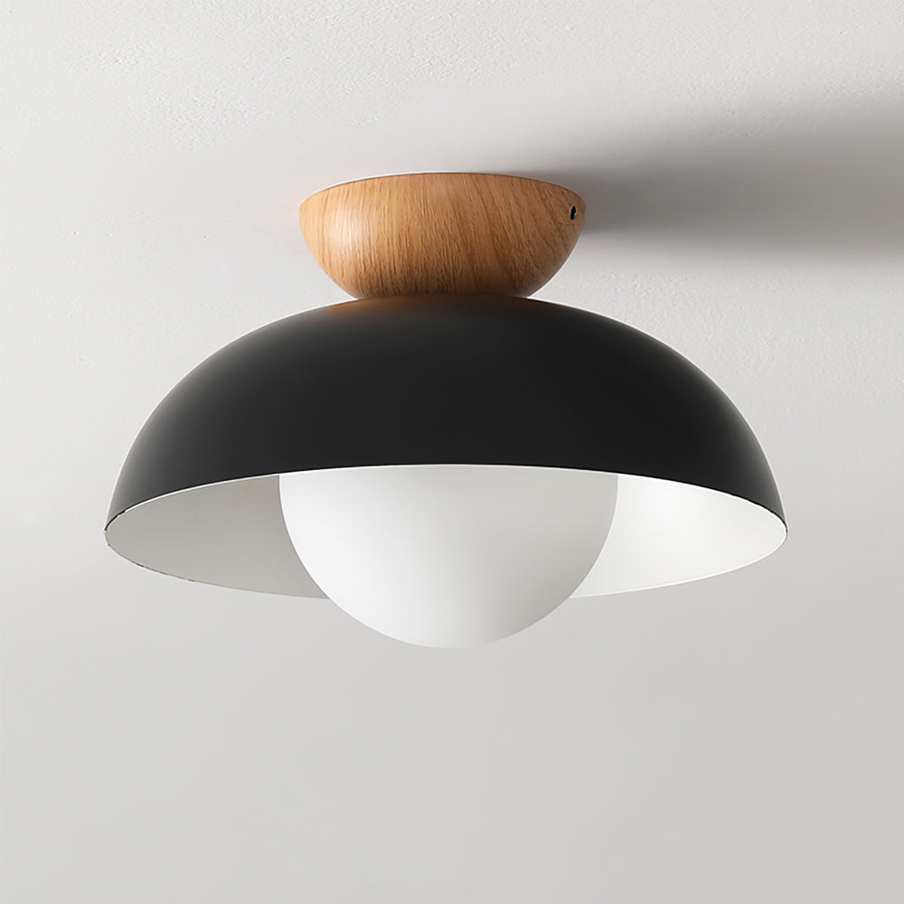 Ararala Modern Ceiling Light