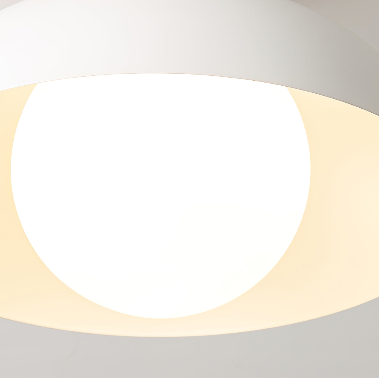 Ararala Modern Ceiling Light