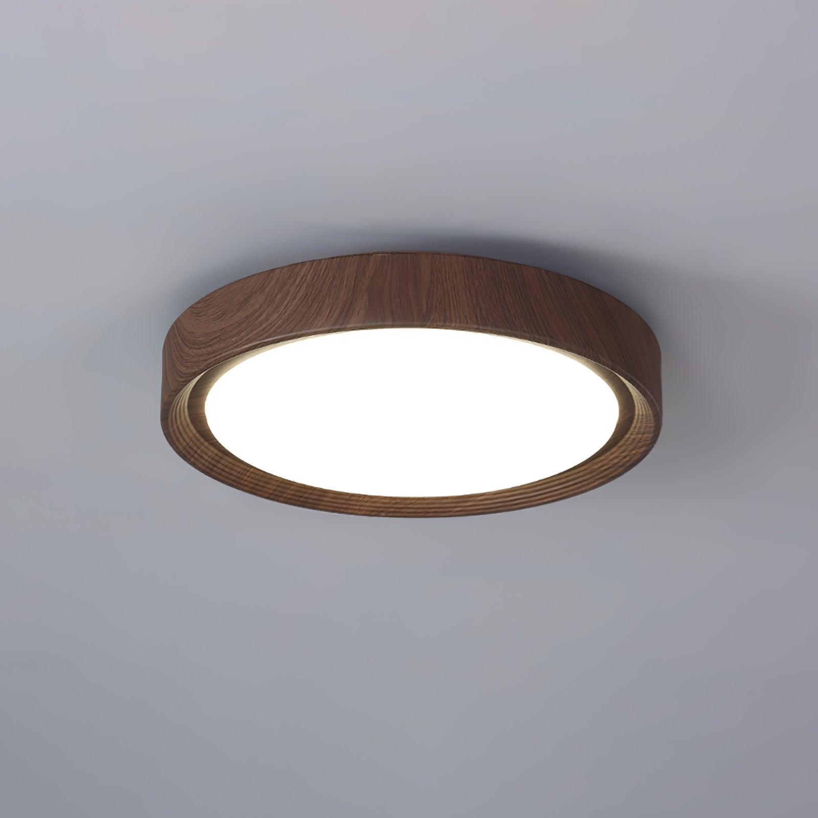 Arralyn Round Ceiling Light