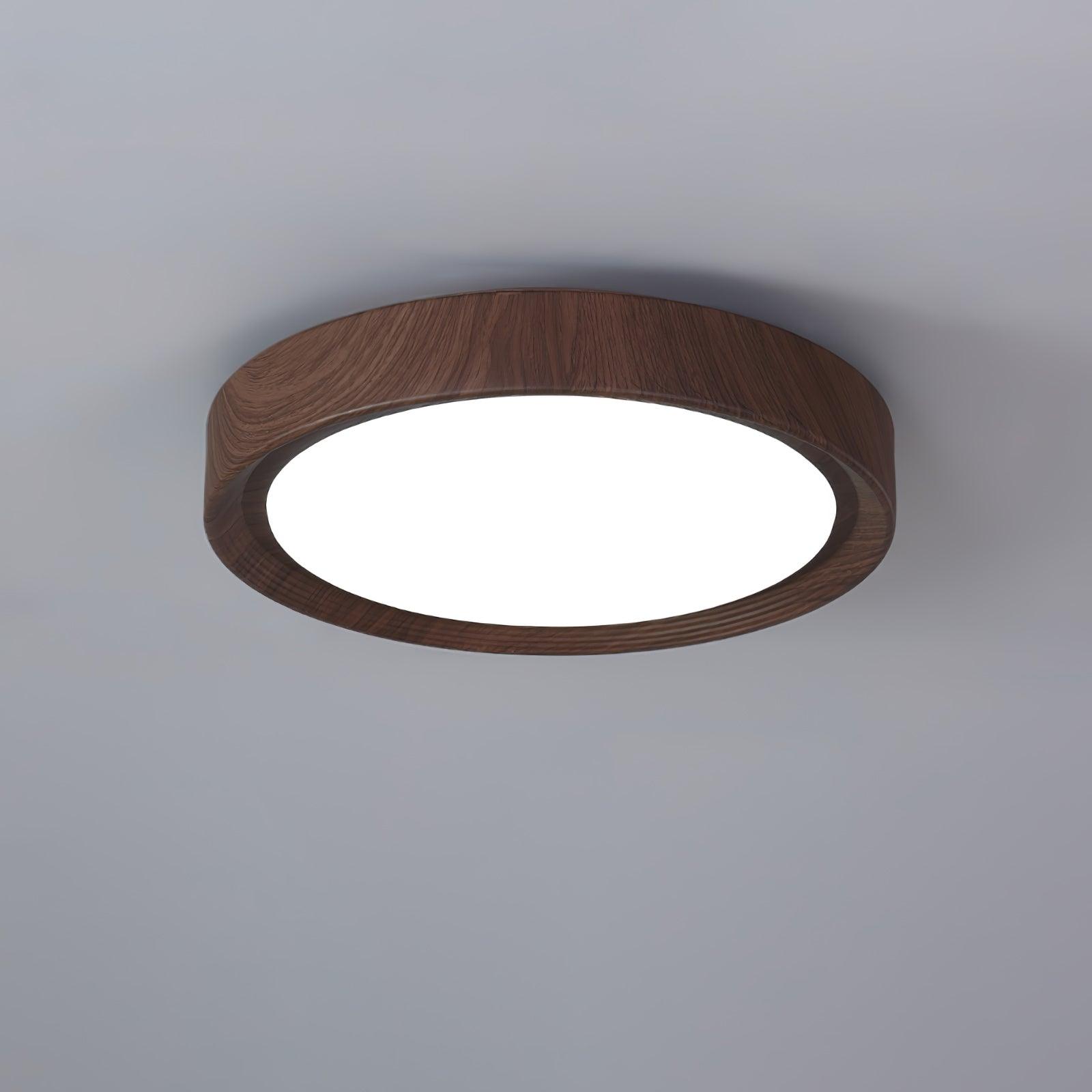 Arralyn Round Ceiling Light