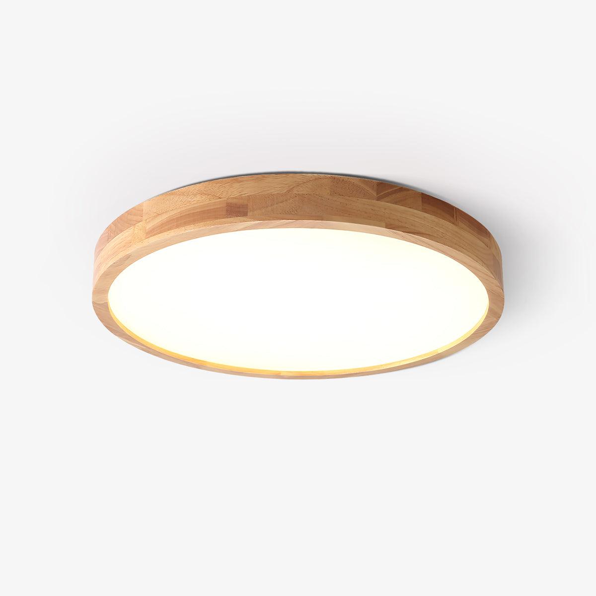 Alerain Geometric Ceiling Light