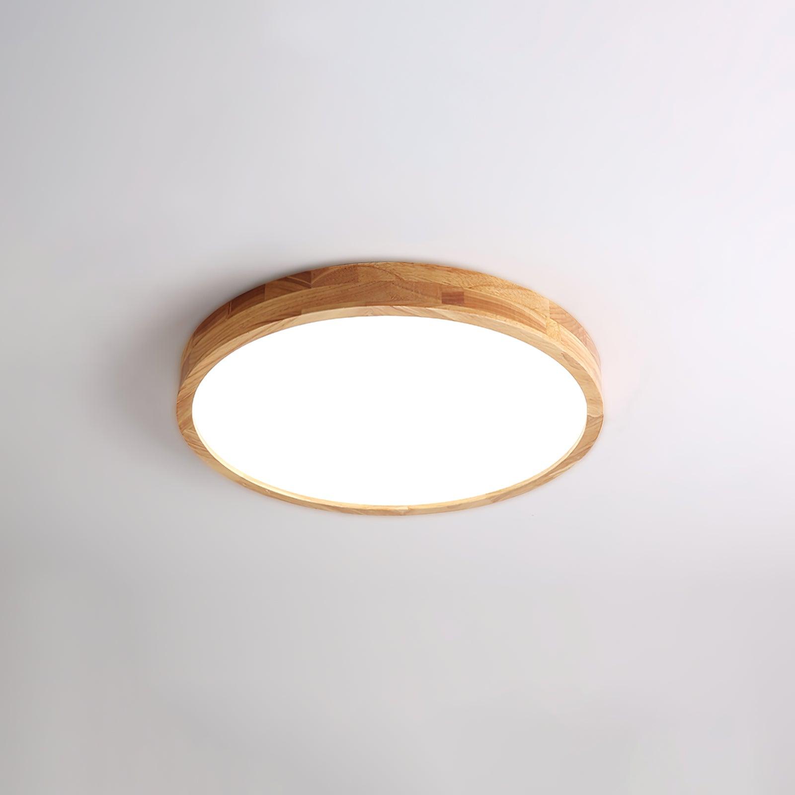 Alerain Geometric Ceiling Light