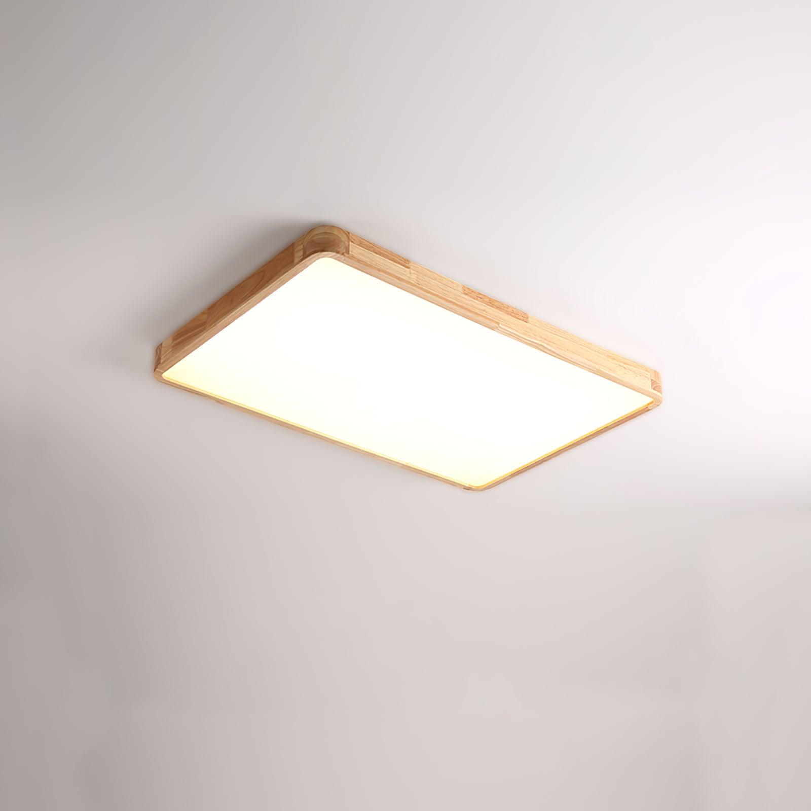Alerain Geometric Ceiling Light