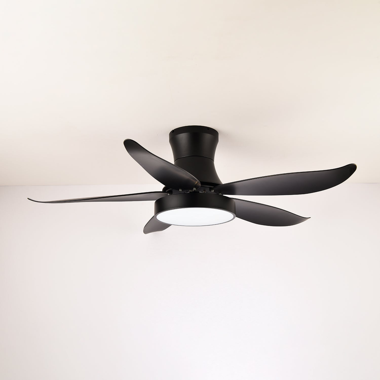 Rozin Modern Ceiling Fan Light