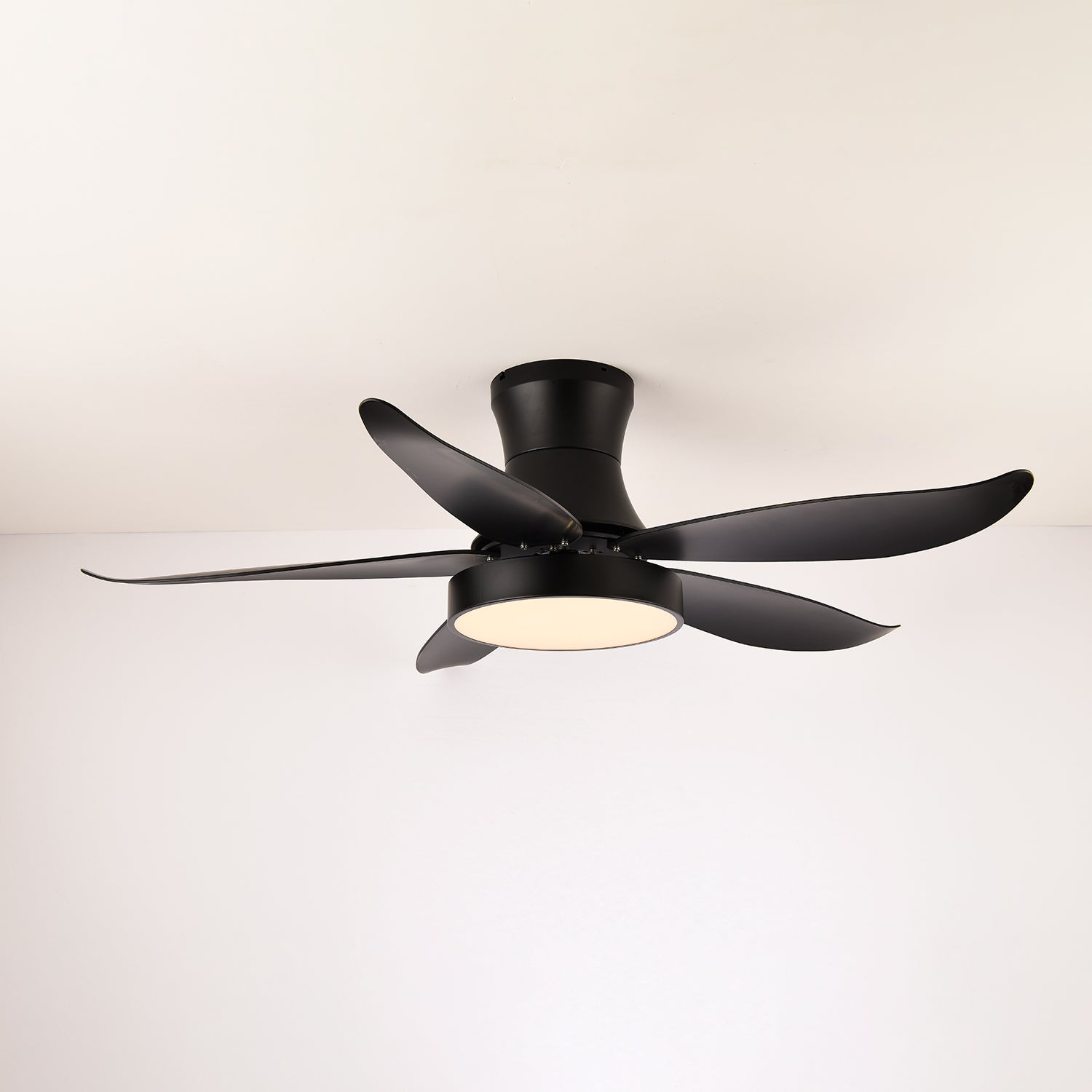 Rozin Modern Ceiling Fan Light
