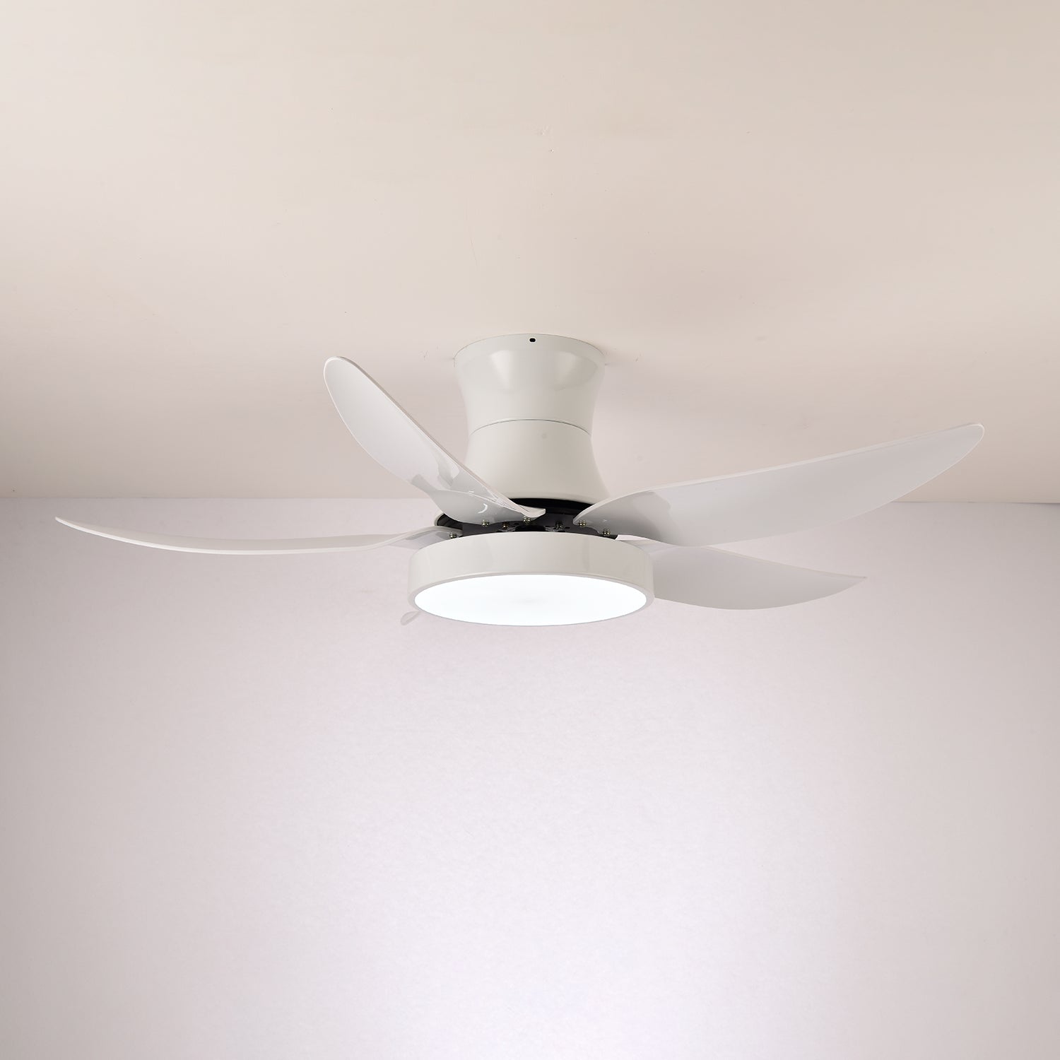 Rozin Modern Ceiling Fan Light