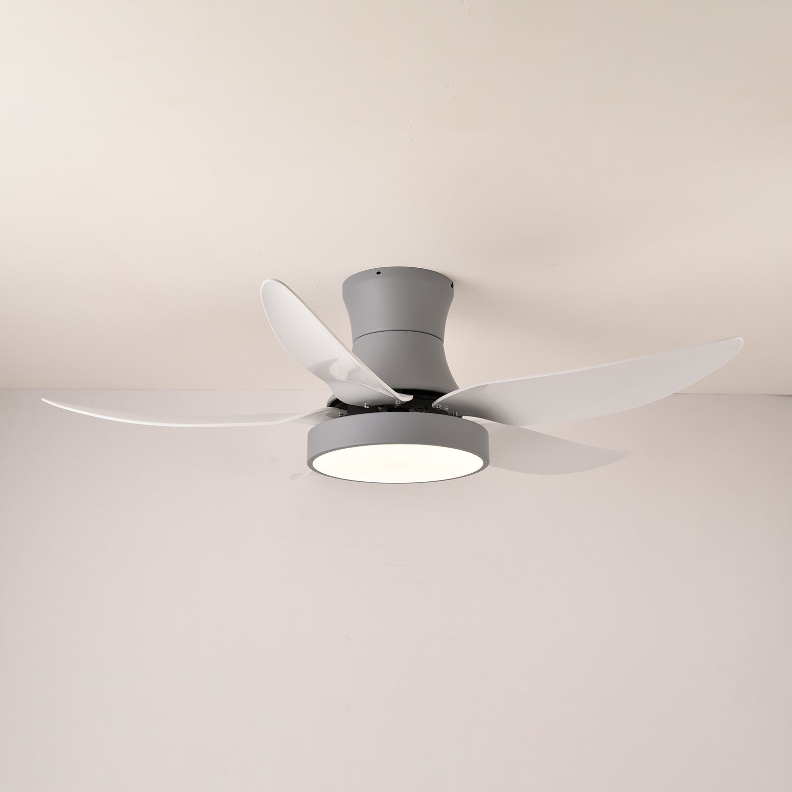 Rozin Modern Ceiling Fan Light