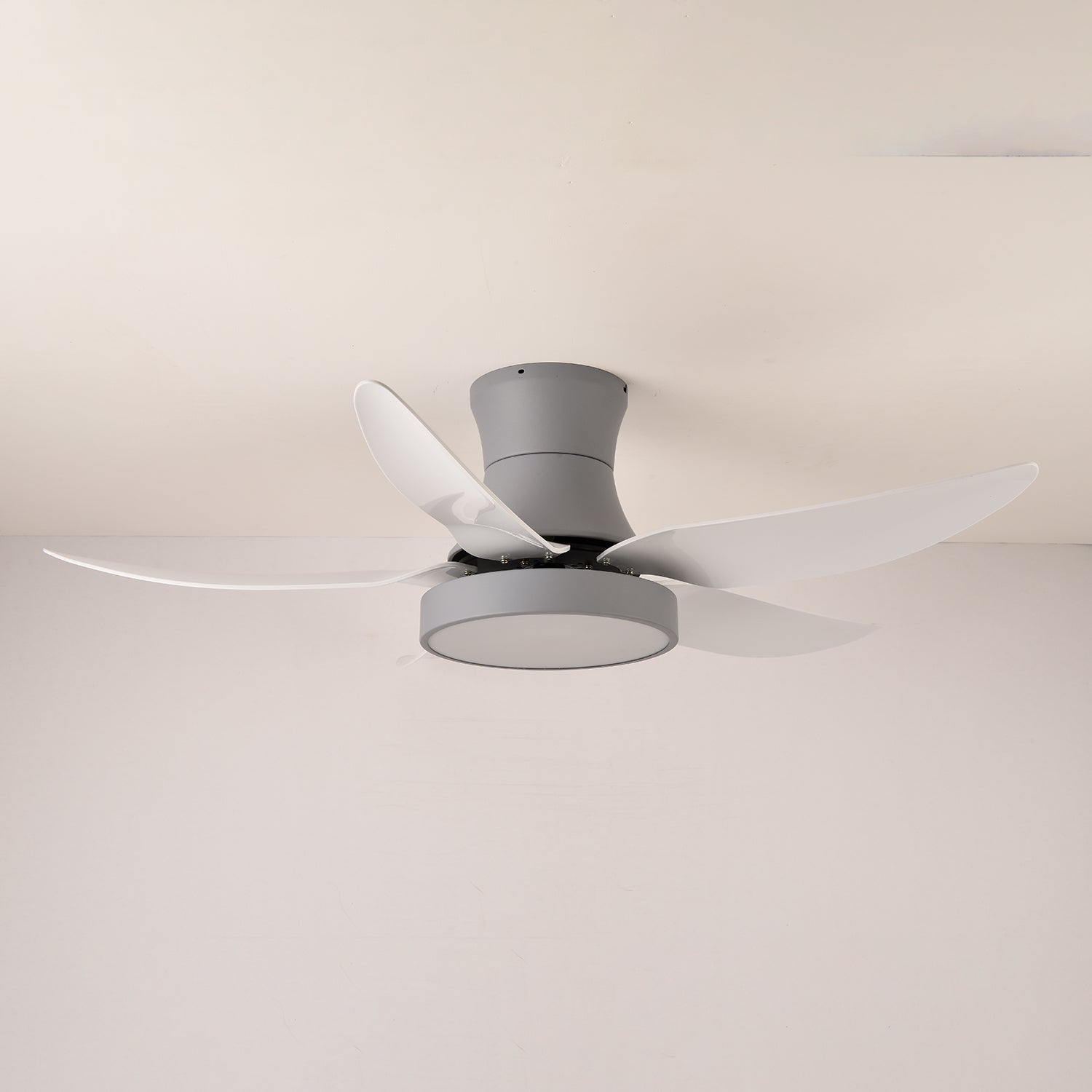 Rozin Modern Ceiling Fan Light