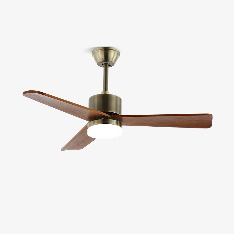 Zireva Ceiling Fan Light