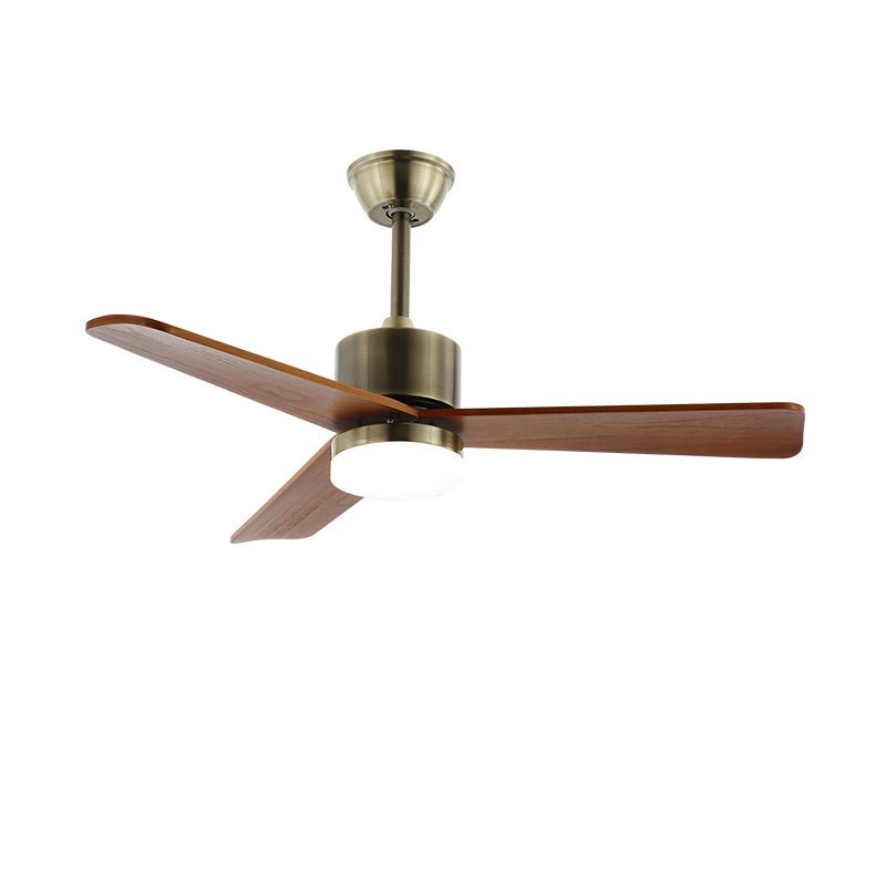 Zireva Ceiling Fan Light