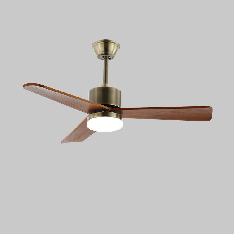 Zireva Ceiling Fan Light