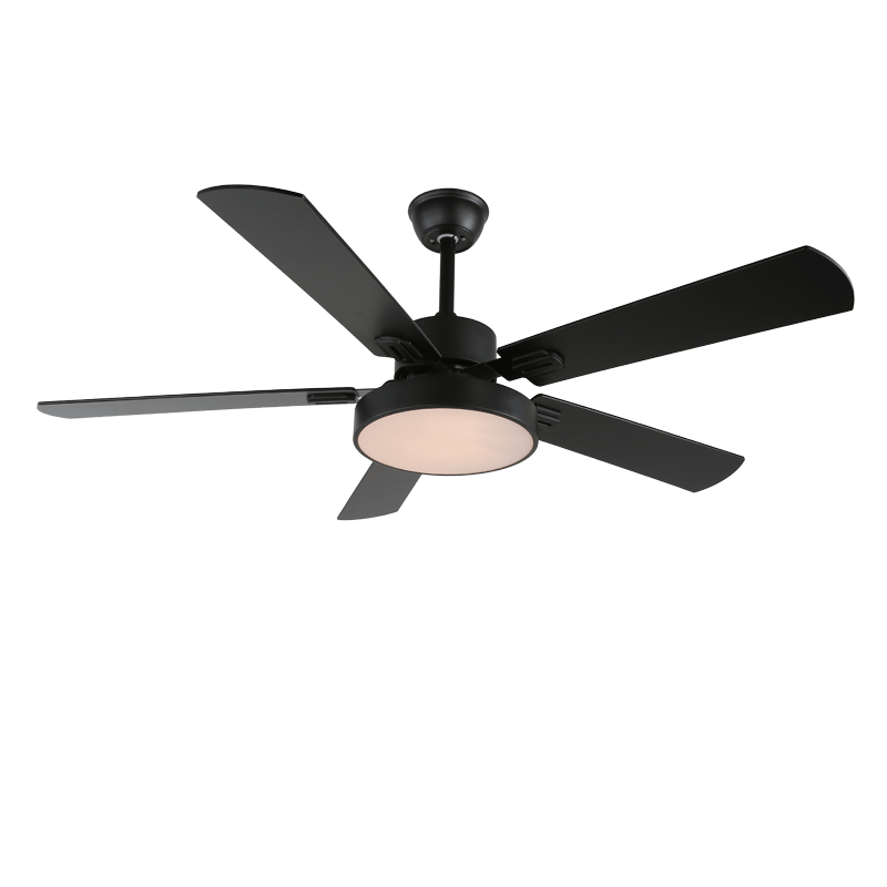 Baalius Ceiling Fan Light