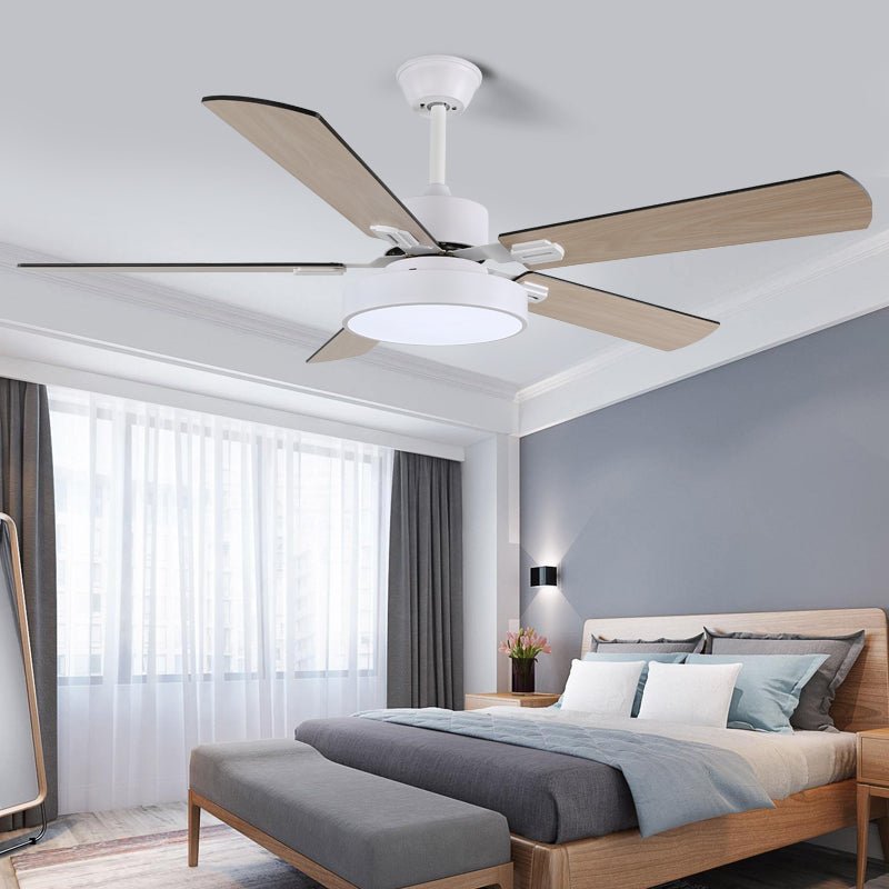 Baalius Ceiling Fan Light