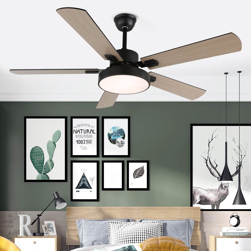 Baalius Ceiling Fan Light