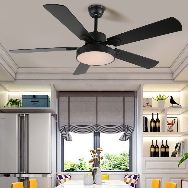 Baalius Ceiling Fan Light