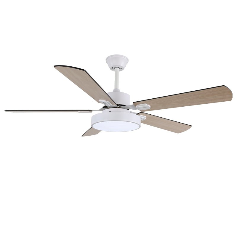 Baalius Ceiling Fan Light