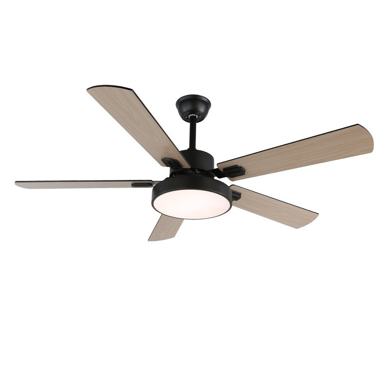 Baalius Ceiling Fan Light