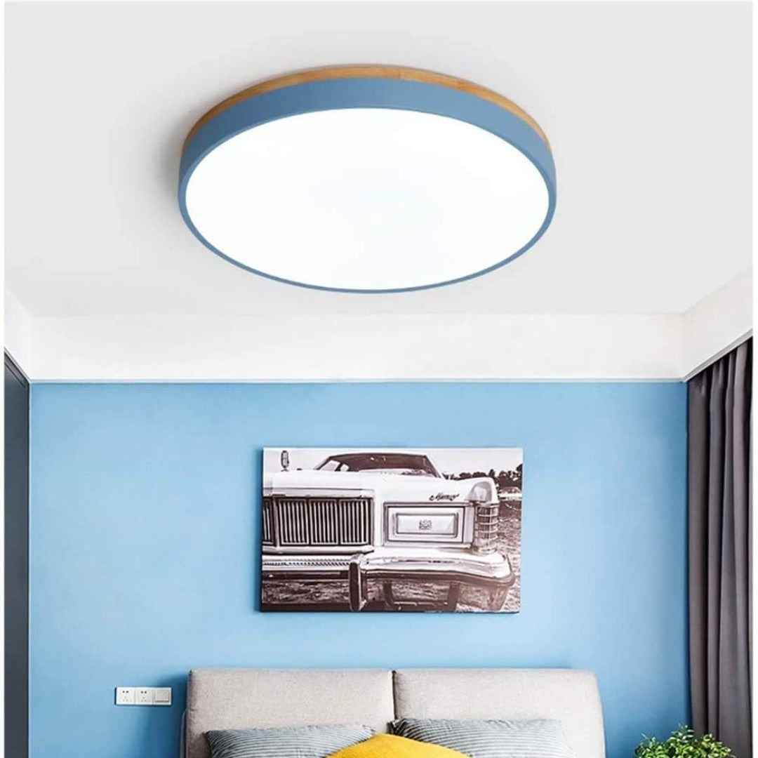 Casely Round Ceiling Light