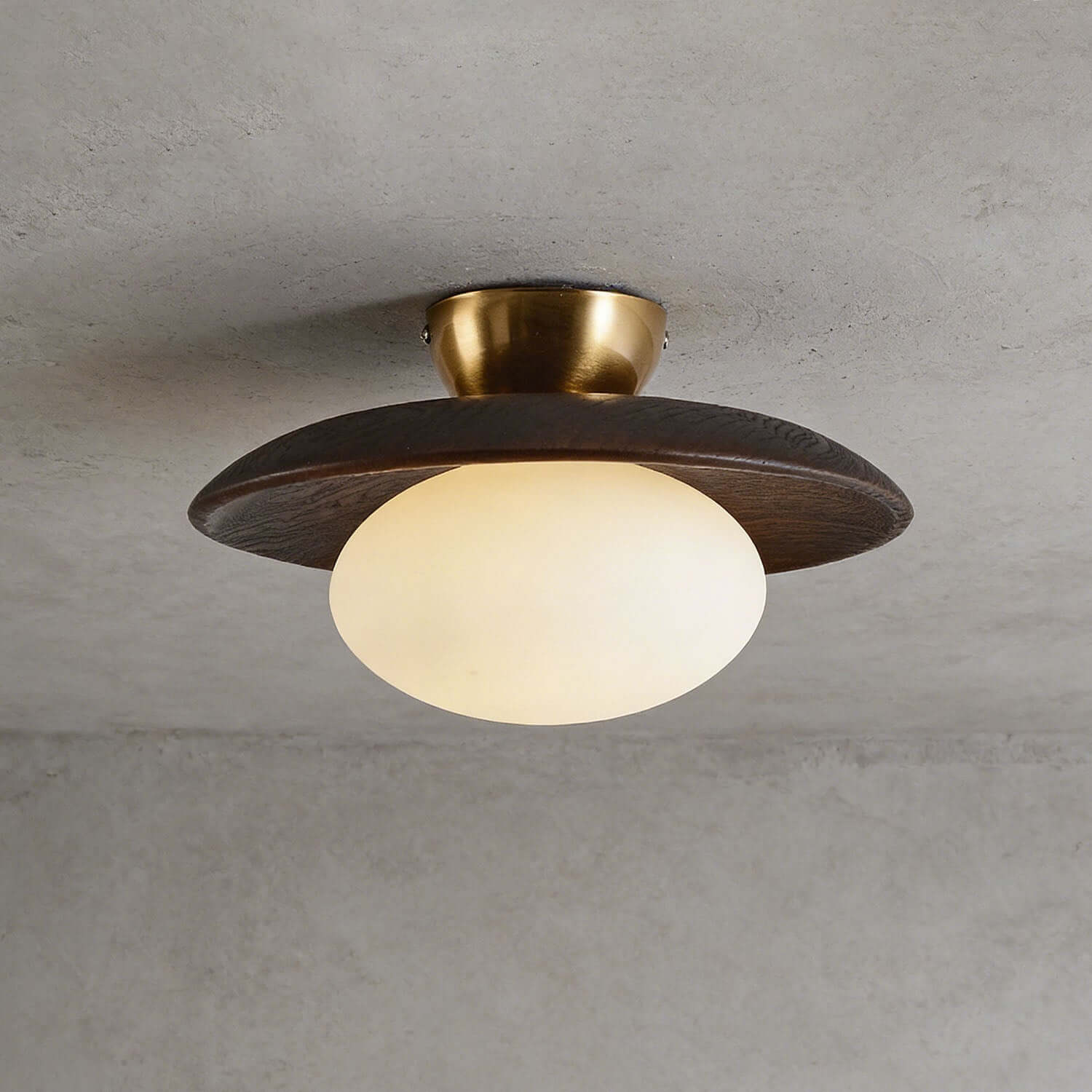 Utonar Round Ceiling Light