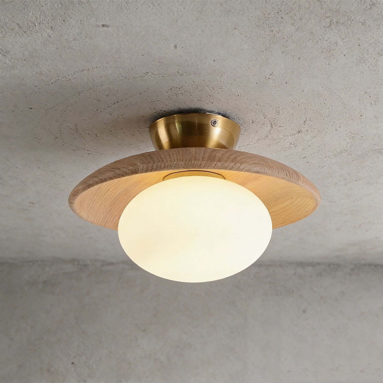 Utonar Round Ceiling Light