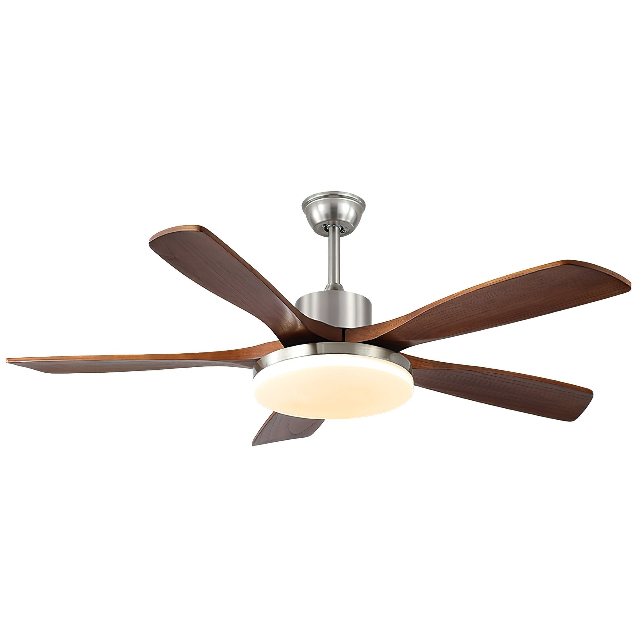 Lozya Ceiling Fan Light