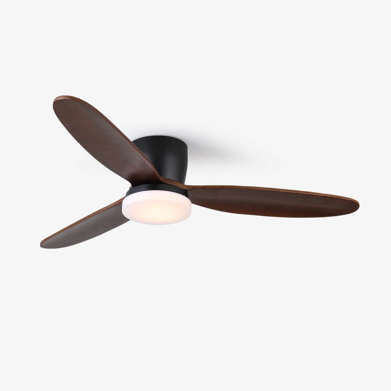 Norea Ceiling Fan Light