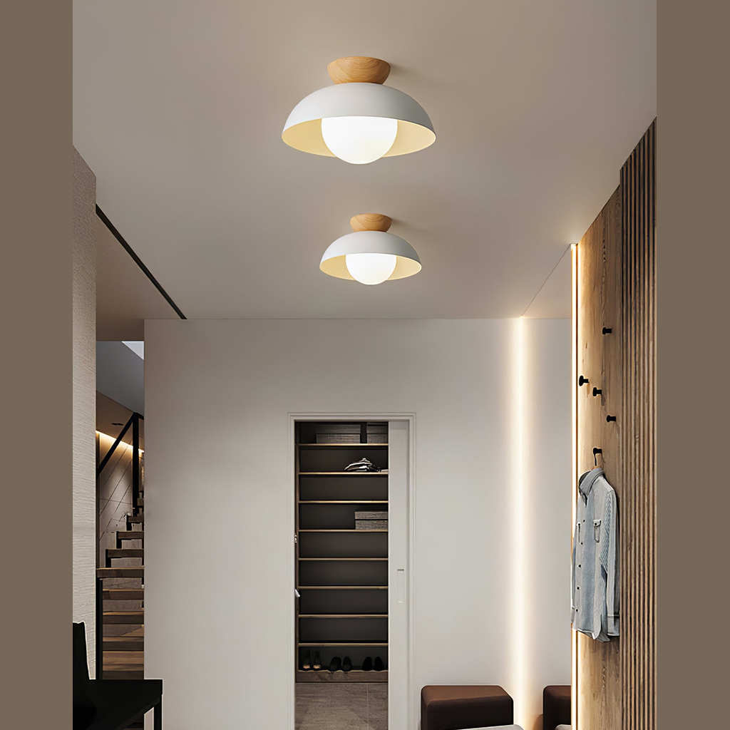 Ararala Modern Ceiling Light