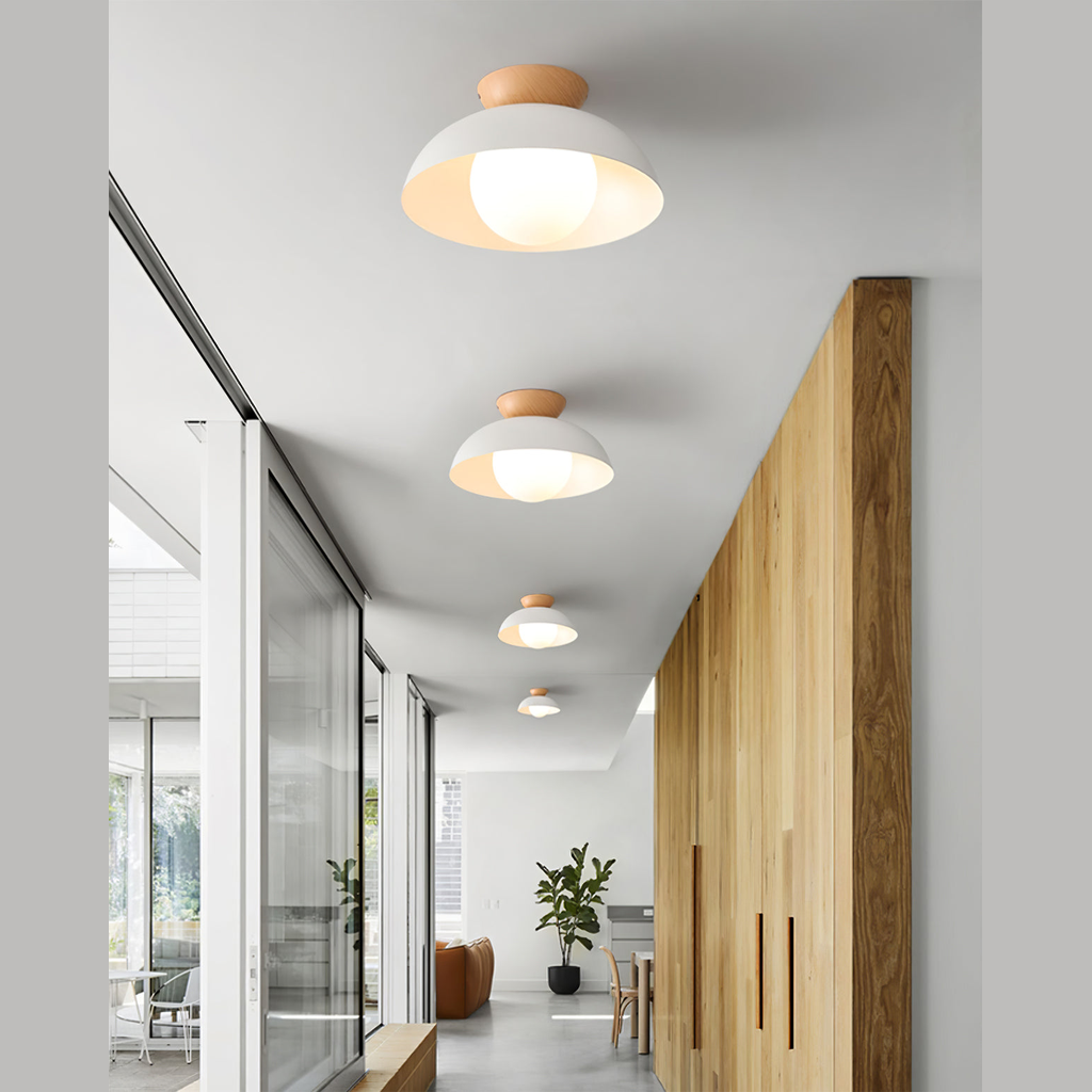 Ararala Modern Ceiling Light