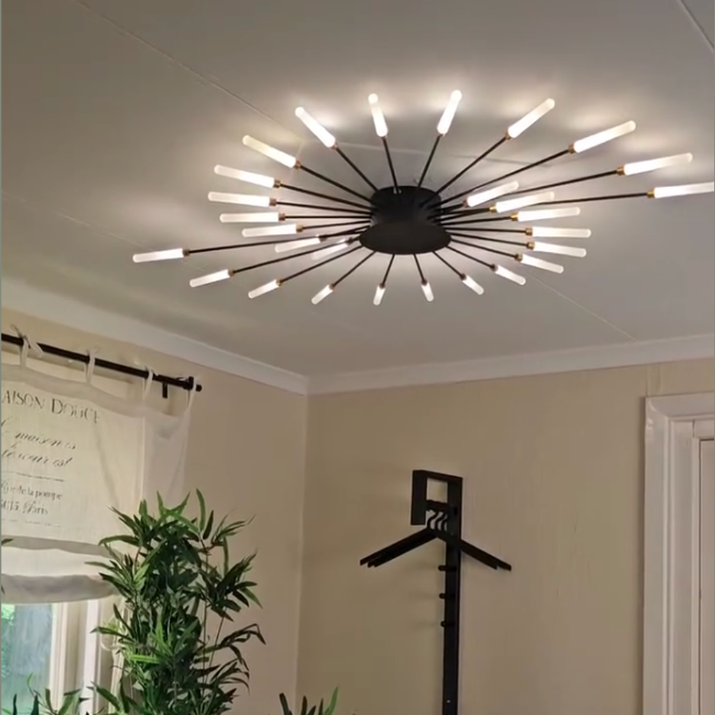 Arralessa Firework Ceiling Light
