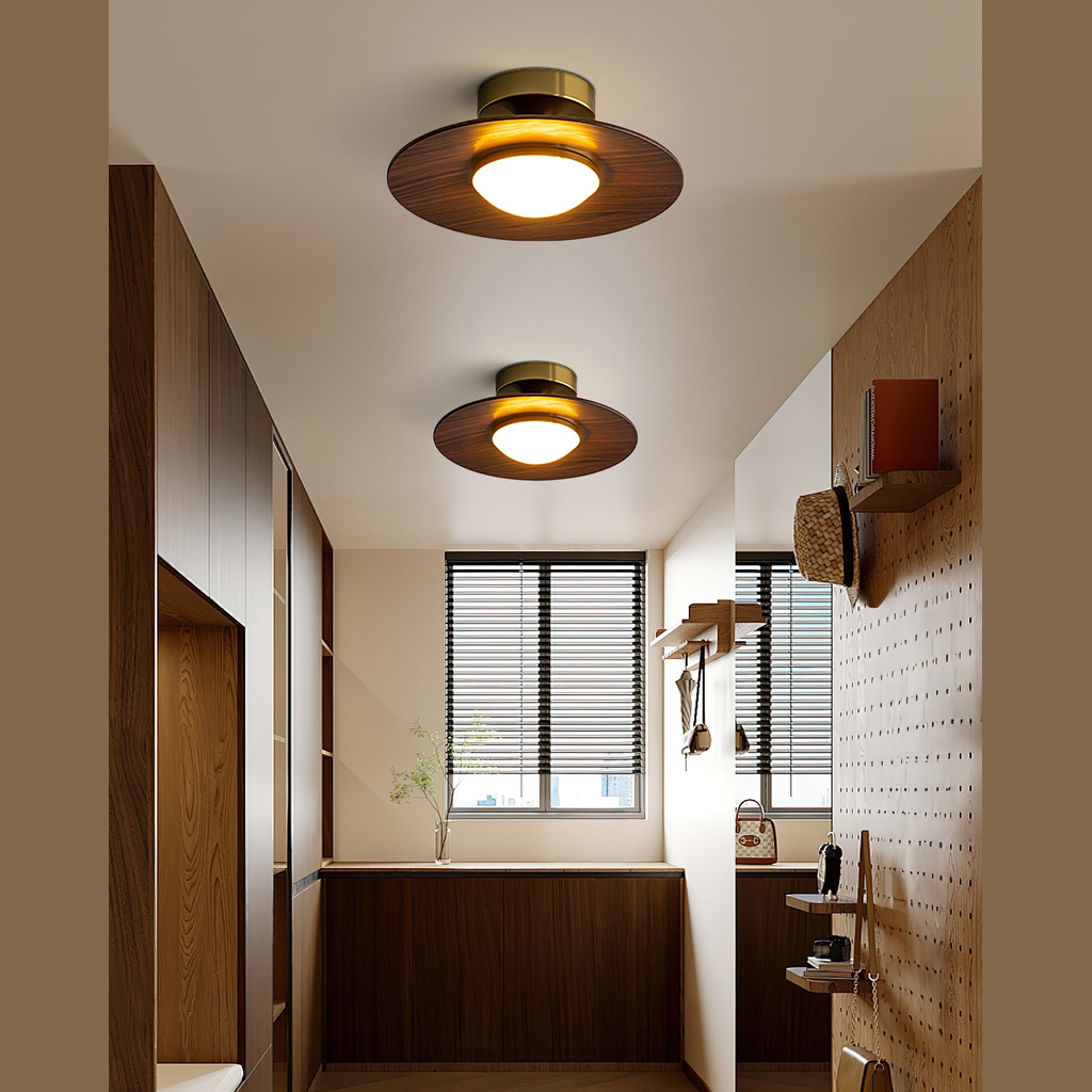 Olanon Round Ceiling Light