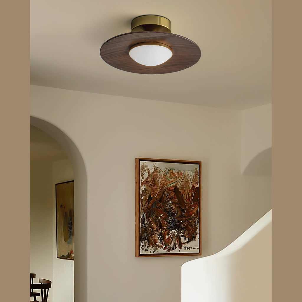 Olanon Round Ceiling Light