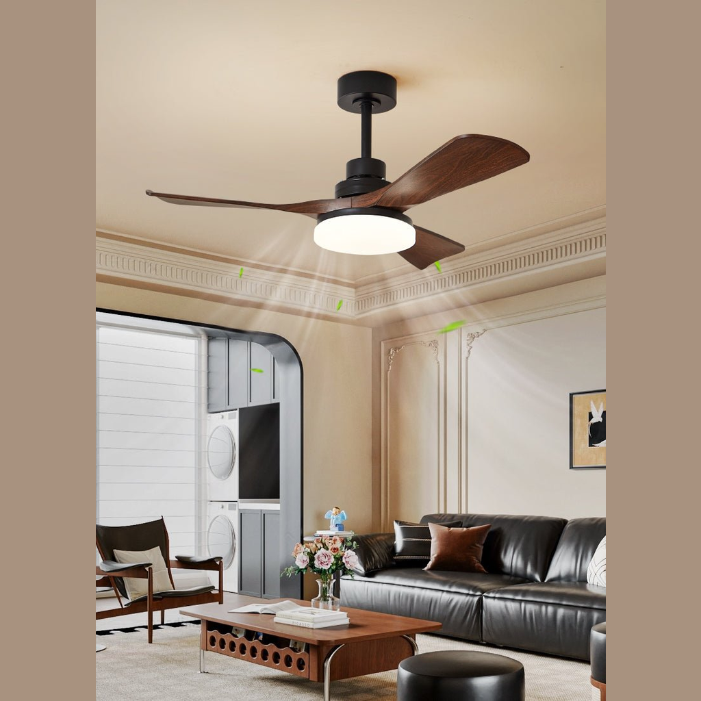 Brozeela Modern Fan Ceiling Light
