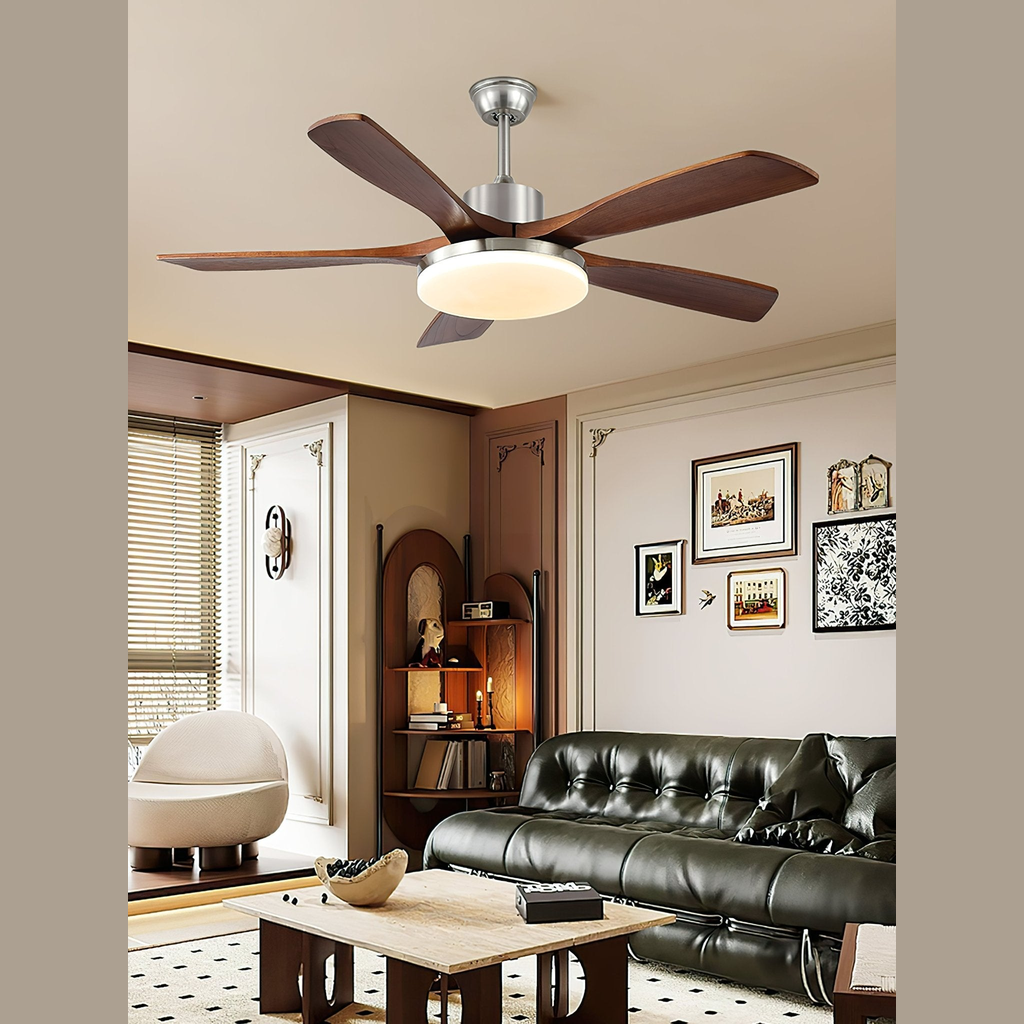 Lozya Ceiling Fan Light
