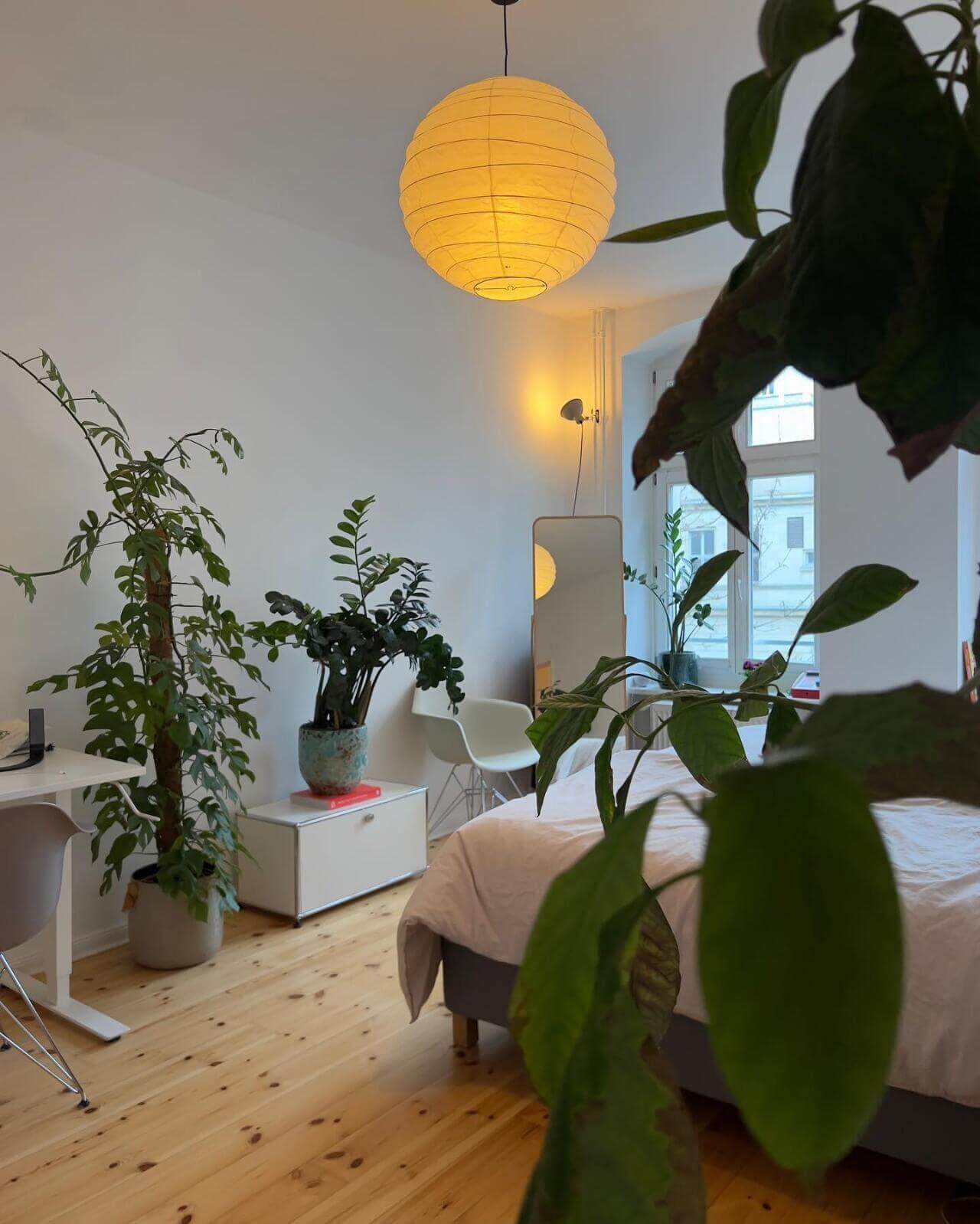 Avelero Lantern Pendant Light